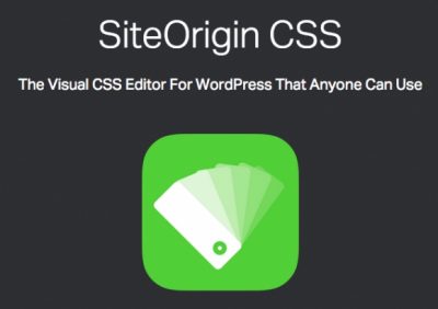 custom-css-wp