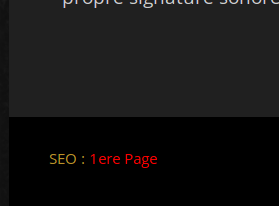 SEO-1ere-page-WordPress