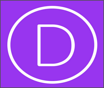 Divi-Theme-Review