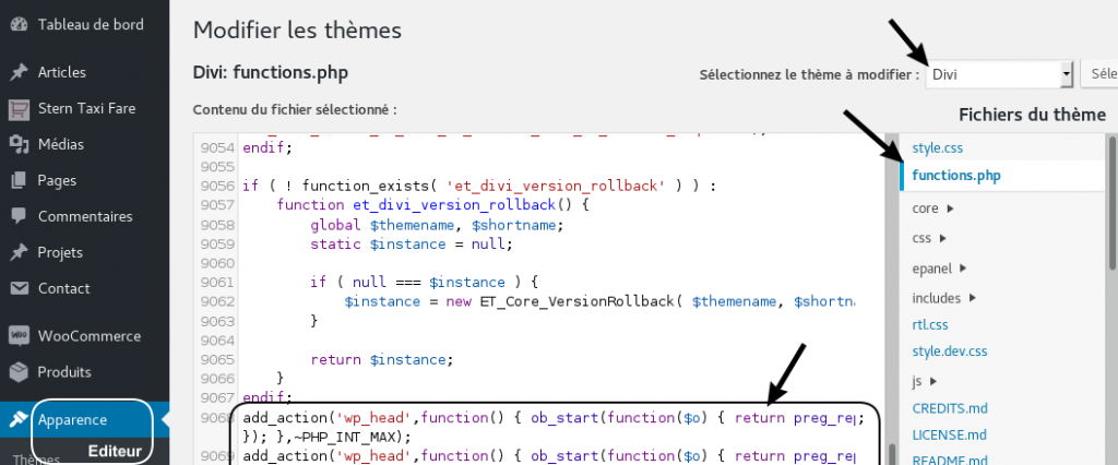 Masquer-Commentaires-SEO-dans-un-theme-MaJ-Function