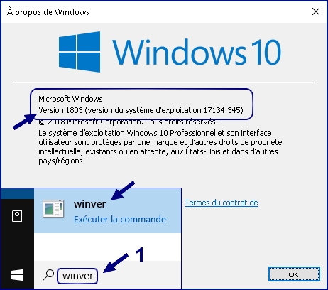winver-verifier-version-windows